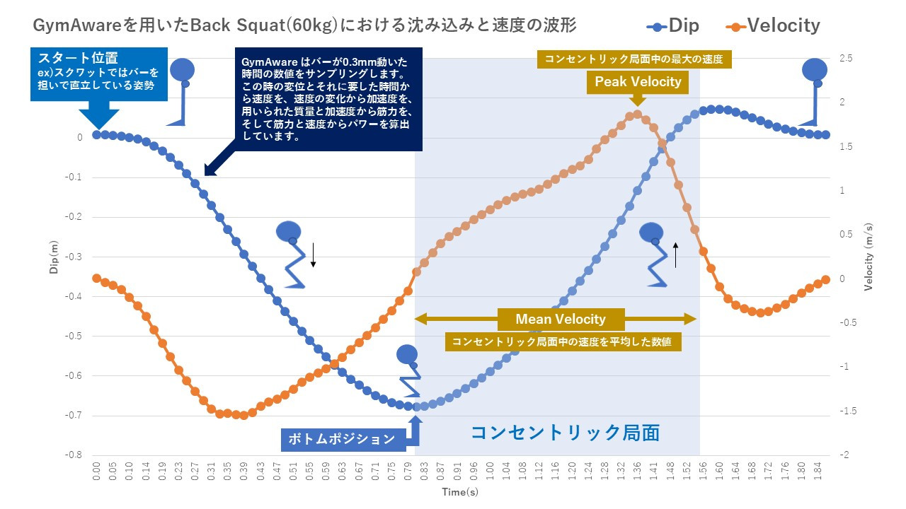 Velocity Based Training：Mean Velocity とPeak Velocityの違い