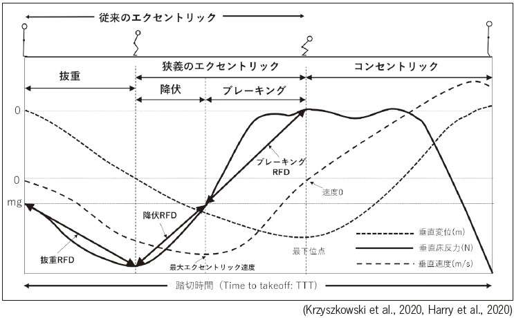 トレーニング指導者のためのパフォーマンス測定と評価 #7 ジャンプ能力評価指標RSImod