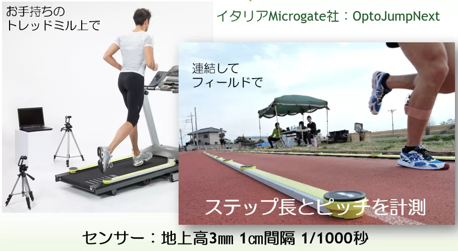 長距離ランナーの分析 Part2：ステップ長とピッチの分析