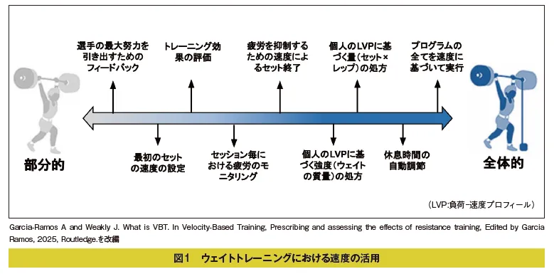 トレーニング指導者のためのパフォーマンス測定と評価#26 VBTの有効性についてのエビデンスとは？ メタアナリシスをどう読むか